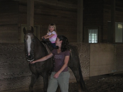 Addison Riding Horse2